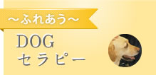 DOGセラピー〜ふれあう〜